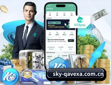im电竞投注 APP 深度功能